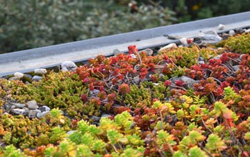 the cost of Stanford On Soar green roof installation