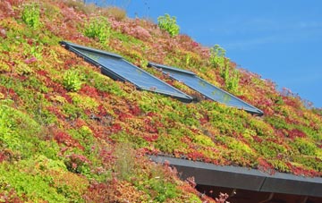 Stanford On Soar living roof systems